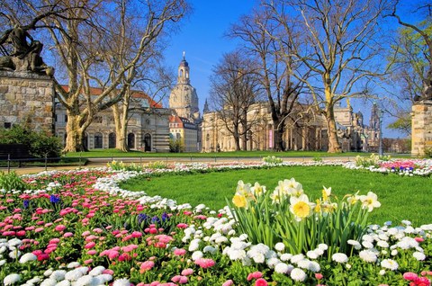  Das Foto zeigt eine mit Blumen bepflanzte Wiese in Dresden. Im Hintergrund erkennt man die Frauenkirche. 