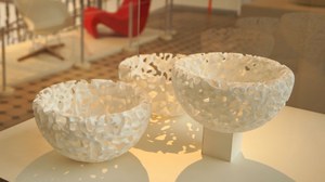 Ausstellungsstück Evolving Bowl