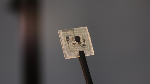 Leaf skeleton infused with temperature-stable bio-derived polymer to form a substrate