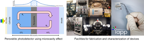 Perowskite using microcavity effect