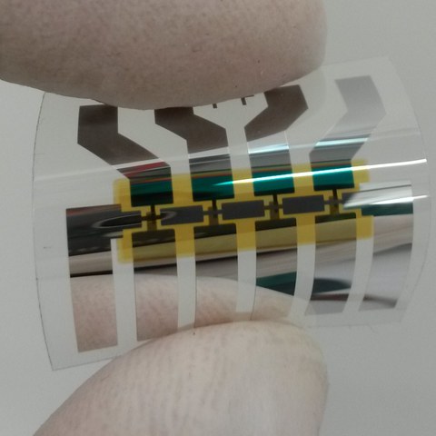 Flexible organic permeable base transistor