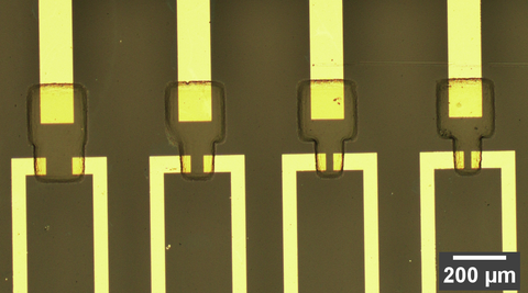 Foto eines Satzes von organischen elektrochemischen Transistoren