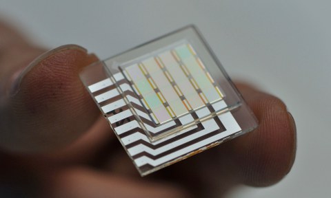 Senorics-Photodetektor-Chip