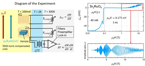 AC susceptibility