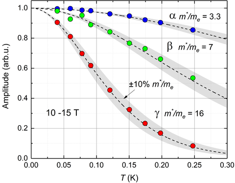 Amplitude quantum oscillations