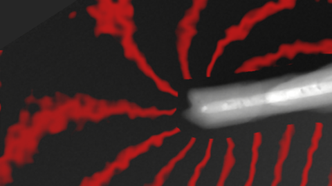 Fe filled carbon nanotube with magnetic stray field (red lines)