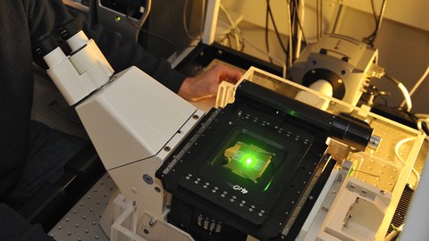 Biomolekularer Transport: Molekularmotoren und Zytoskelett
