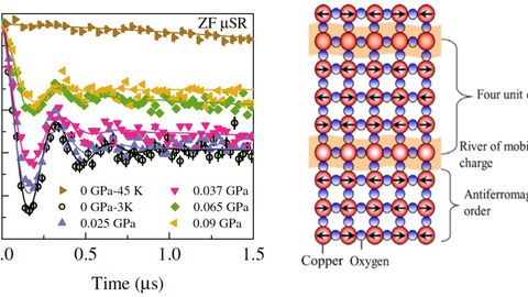 Myonen-Spinpolarisation als Funktion der Zeit in La2-xBaxCuO4  mit x= 0.115 bei 3 Kelvin und verschiendenen uniaxialen Verzerrungen (linkes Diagramm); Darstellung von magnetischer Streifenordnung: regelmäßige nanoskalige  Anordnung von antiferromagnetischen und supraleitenden Streifen (rechtes Diagramm). 