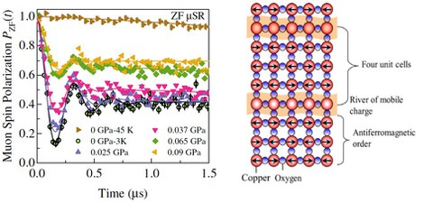 Muon spin polarization versus time in La2-xBaxCuO4  with x= 0.115 at 3 Kelvin for different uniaxial stress values (left panel); scetch of magnetic stripe order with regular nanoscale phase separation into antiferromagnetic order and superconductivity (right panel). 