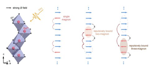 Experimental observation of repulsively bound magnons