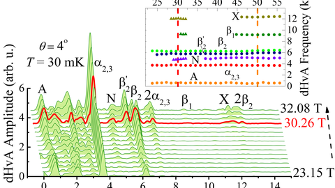 FFT-Spektren der dHvA-Oszillationen im statischen Feld in CeRhIn5. 