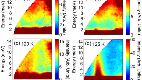 Neutron scattering intensity maps, measured with Ei = 20 meV, showing the gap below TN for (a) Sr2MgOsO6 and (b) Sr2ScOsO6 which closes above TN in (c,d) respectively.