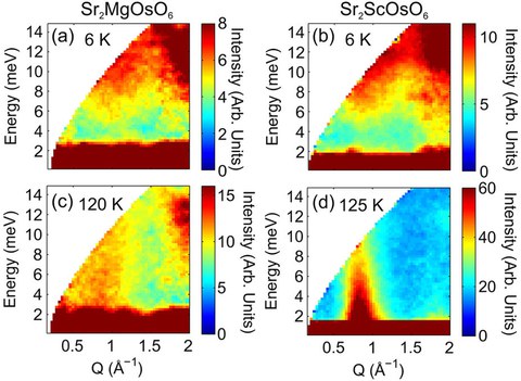 Neutron scattering intensity maps, measured with Ei = 20 meV, showing the gap below TN for (a) Sr2MgOsO6 and (b) Sr2ScOsO6 which closes above TN in (c,d) respectively.