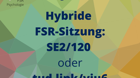 hybride FSR Sitzungen