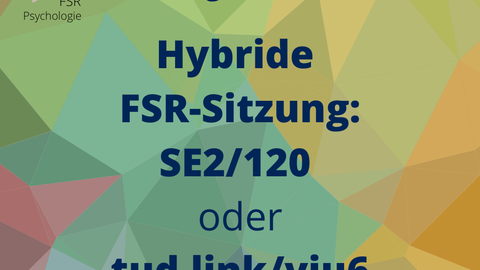 hybride FSR Sitzungen