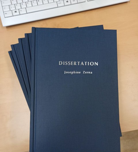 Dissertation von Josephine Zerna