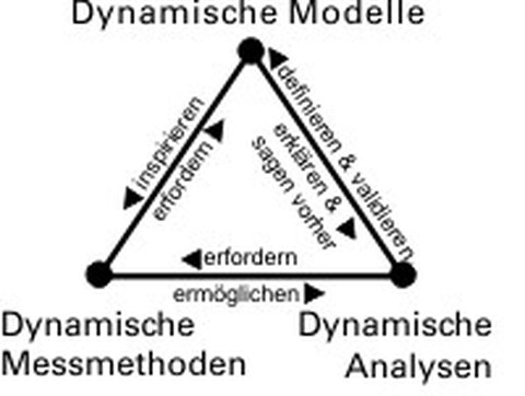 Dreieck dynamischer Methoden