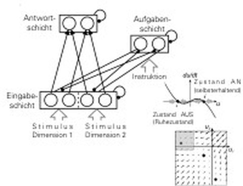Dynamik neuronaler Netze