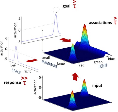 Dynamic Neural Field Modell