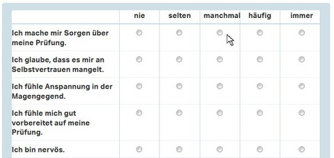 Eine Vorschau des Selbst-Testes. Man sieht die Skala, von "nie" über "selten", "manchmal" und "häufig" bis "immer"; außerdem sieht man ein paar der Aussagen wie z.B. "Ich mache mir Sorgen über meine Prüfung".