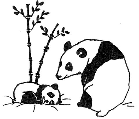 Pandas