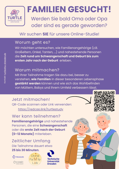 TURTLE Studie Flyer