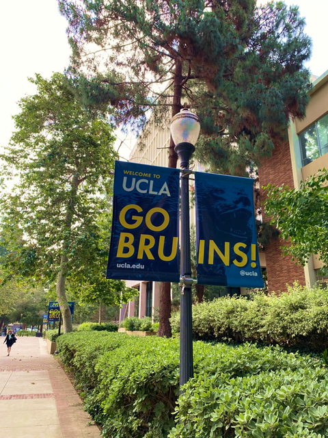 UCLA Banner 