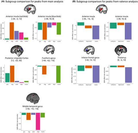 Förster et al. in Bipolar Disorders