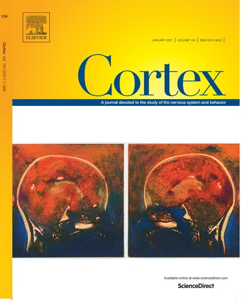 Cover von Cortex Volume 134 das MRI Aufnahmen von zwei Gehirnen zeigt