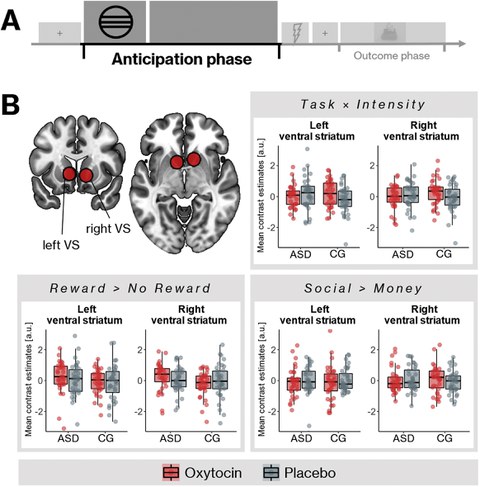 Mayer et al. 2021