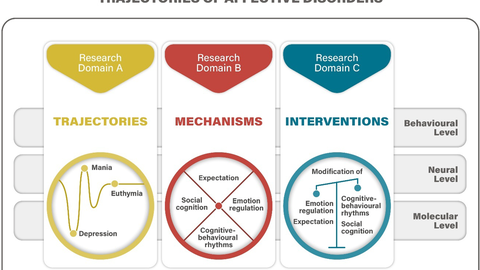 Research domain descriptions of TRR393 consortium