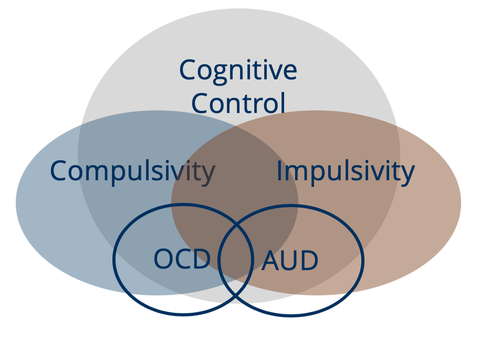 PULS2_Venn_Diagramm