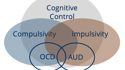 PULS2_Venn_Diagramm