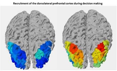 Recruitment of dorsolateral PFC during decision-making