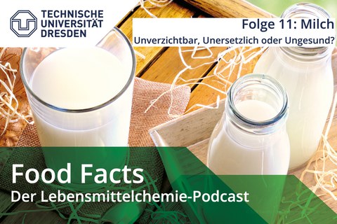 Verschiedene Flaschen mit Milch