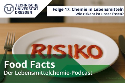 Ein Teller auf dem der Begriff "Risiko" in Sauce geschrieben steht.