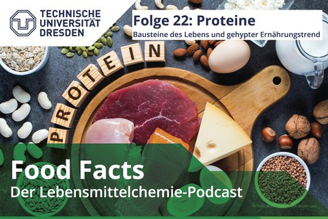 Proteinreiche Lebensmittel wie Fleisch, Fisch, Milchprodukte, Eier, Buchweizen, Haferflocken, Nüsse, Bohnen, Kürbiskerne und Sonnenblumenkerne.