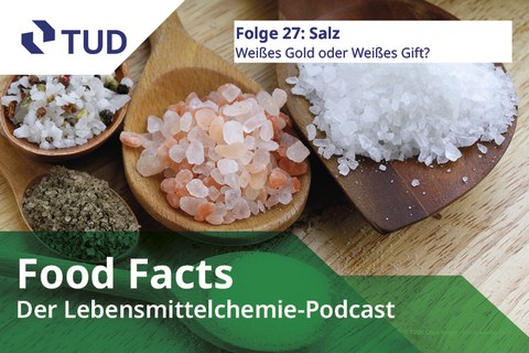 Verschiedene Salzsorten auf Holzlöffeln.