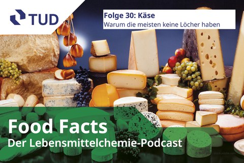 Verschiedene Käsesorten