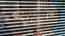Die Zuschauerreihen von außen in den Audimax hinein fotografiert