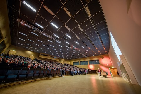 Publikum