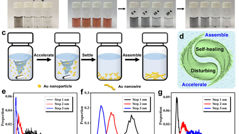 Figure Counter-Intuition Disturbance-Directed Fabrication of Self-Healable Noble Metal Gels for Photo-assisted Electrocatalysis