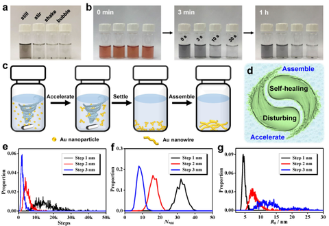 Figure Counter-Intuition Disturbance-Directed Fabrication of Self-Healable Noble Metal Gels for Photo-assisted Electrocatalysis
