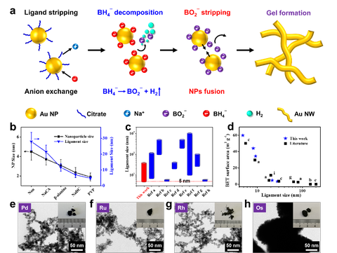 (a) The underlying mechanisms of excessive-NaBH4-directed gelation method. (b) Modulation of the ligament size by ligand chemistry, and (c-d) comparison of ligament size and specific surface areas of gold aerogels from this work and literature.