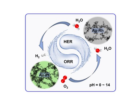 New-type noble metal aerogels were developed for outstanding pH-universal electrocatalysis toward hydrogen evolution reaction and oxygen reduction reaction.