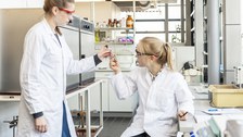 Studierende bei der Laborarbeit