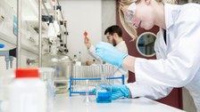 Studierende bei der Laborarbeit