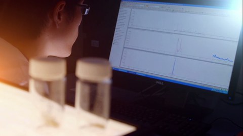 Auswertung am Computer