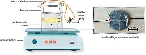 Wissenschaftliche Darstellung des Wirkungsmechanismus der Leaftronics bei der Wasseraufbereitung.