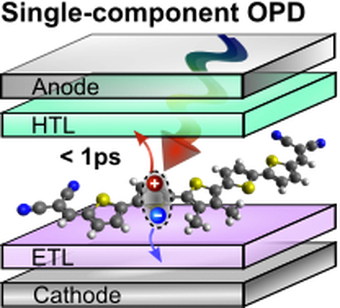 Schematischer Schichtaufbau des organischen Photodetektors